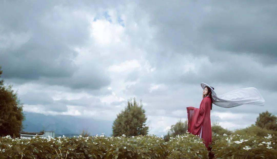 能成大事的人 往往有 五不过 苏东坡