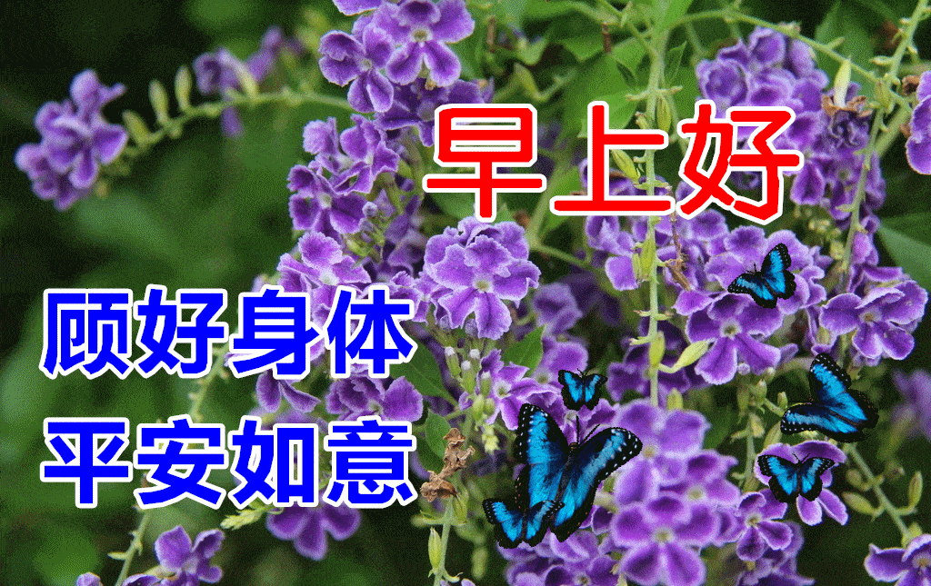 10月22日早上好动态表情图片大全,早晨好动图美图大全