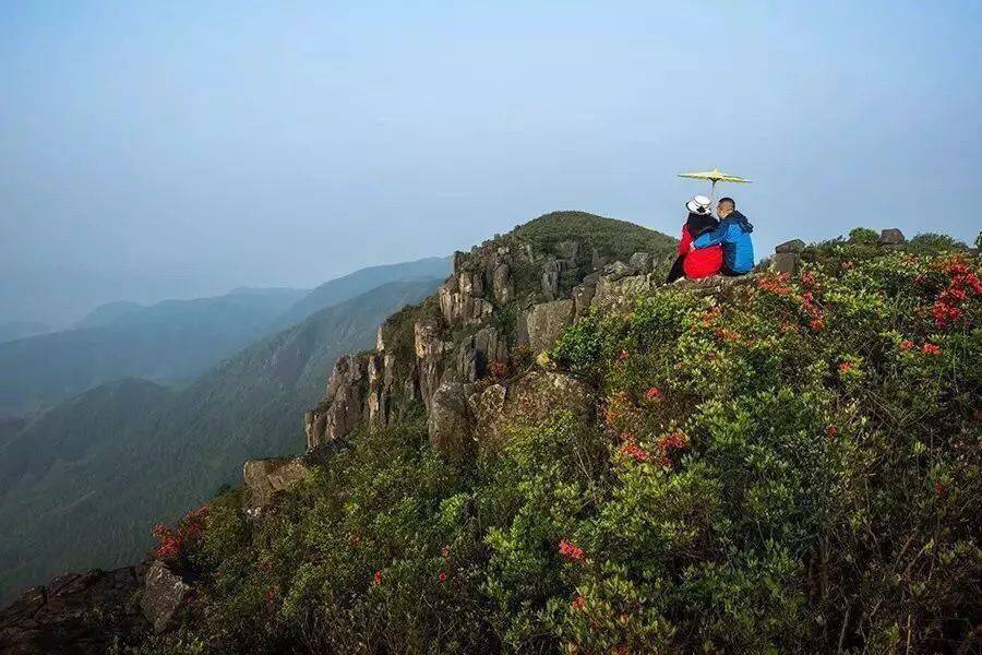 周边游 | 苍南秋日登高必去的山峰,每一寸秋色都很撩人!