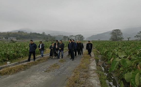 郴州郴州市社党组书记理事会主任雷树平一行来宜章调