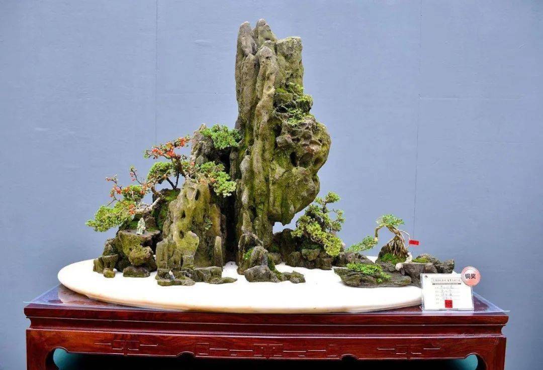 锁定青山绿水5个动作深入滋养你的山水盆景