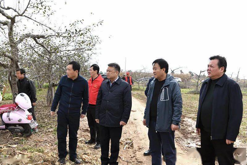 【要闻】王旭检查秋收秋管工作