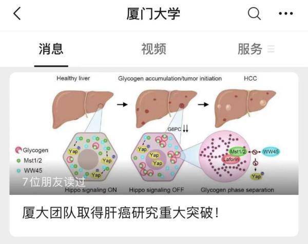 刘清|高校肝癌研究取得重大突破！但论文文末一段话令人泪目……