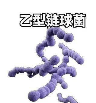 香港|已有79人感染7人死亡！处理这种家常菜要加倍小心