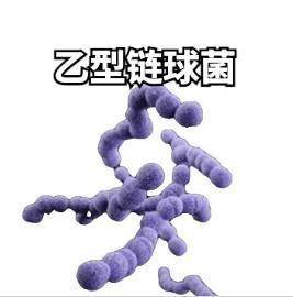 香港|致命病菌暴发，香港79人感染7人死亡！处理这种鱼要加倍小心