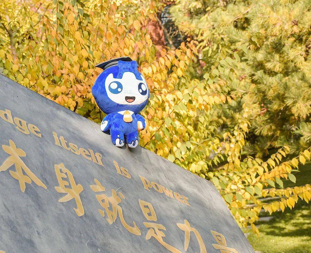 福宝来了西北师大附中校园吉祥物正式发布