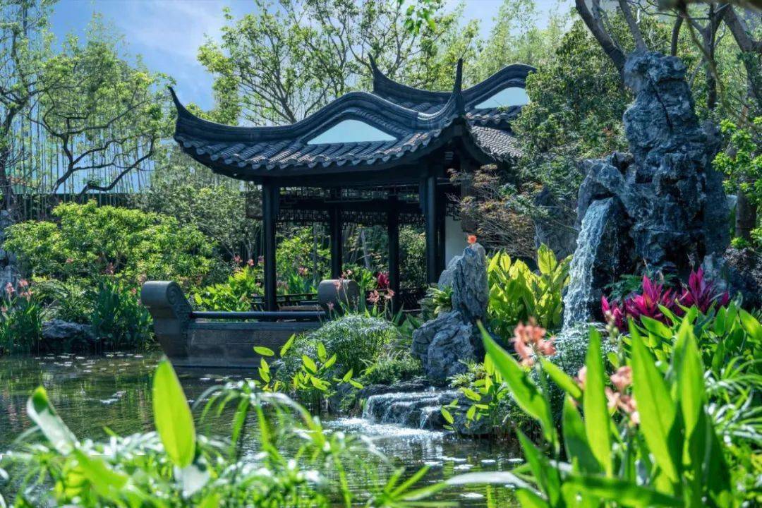 文章配图-81