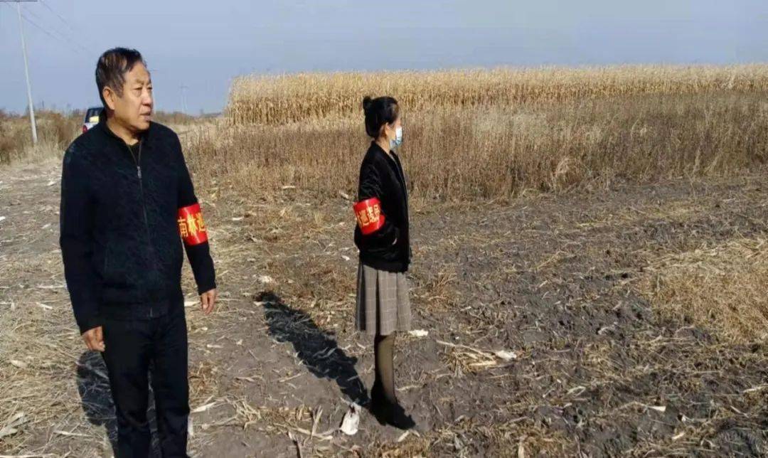 秋收进行时桦川县梨丰乡积极推进秸秆综合利用将秸秆变废为宝