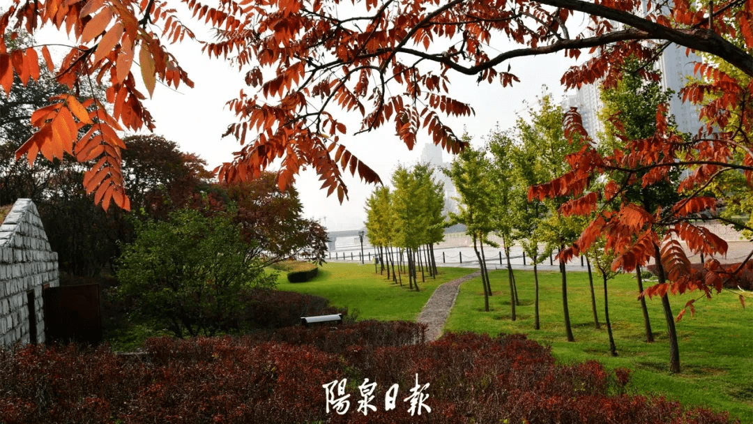 版权|惊艳！快，抓住秋天的尾巴，再赏一回家门口的秋日美景