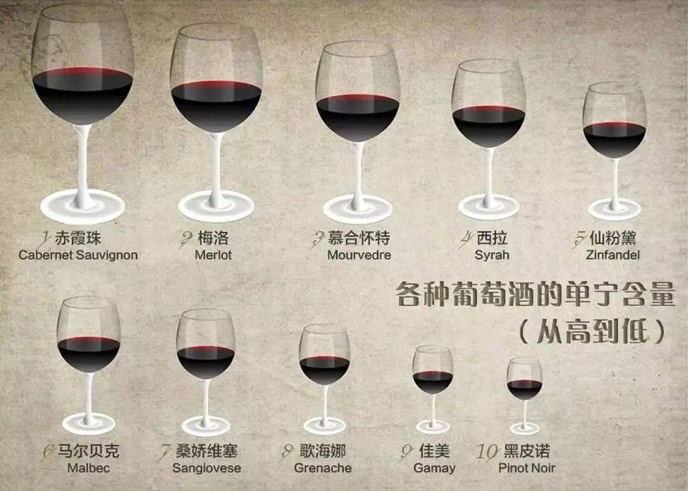 梅酒|综艺刷脸,夜场女王?她比你想得更干净!