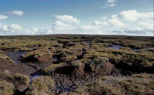 苏格兰的泥煤湿地严格来说,苏格兰高地和爱尔兰算不上是肥沃的土地