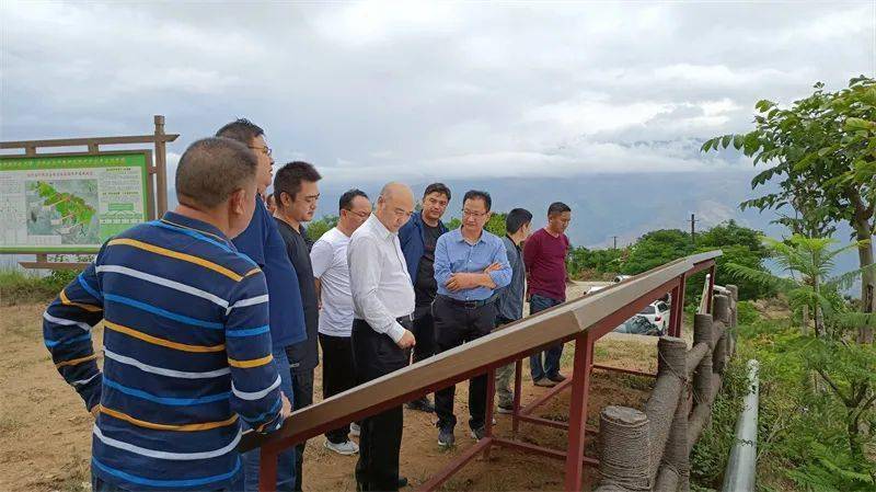 省乡村振兴局调研组到红河县调研十四五烟草工商帮扶项目规划情况