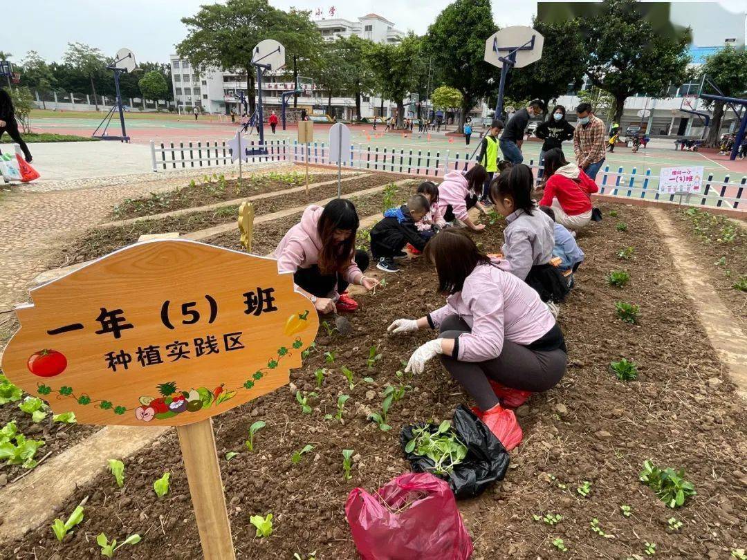 【阳光校园 活力一小】带孩子一起体验种植的乐趣