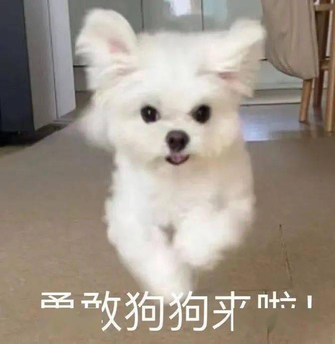 工装裤 比运动鞋有型，比高跟鞋舒服！连男生都疯狂想穿……