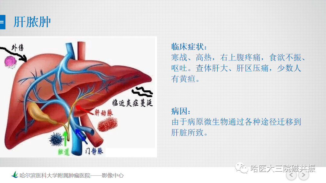end-全网最全的解剖图库,千万不要错过300 神经,头颈系统超全影像