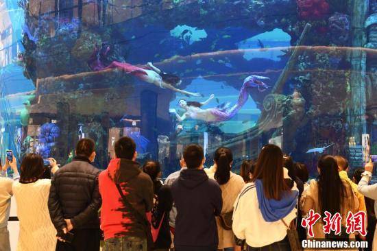 重庆一商场打造“海底世界”：美人鱼表演吸引顾客