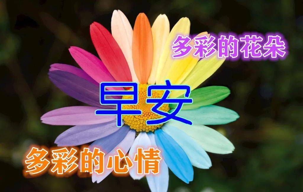 10月26日早上好动态表情图片大全