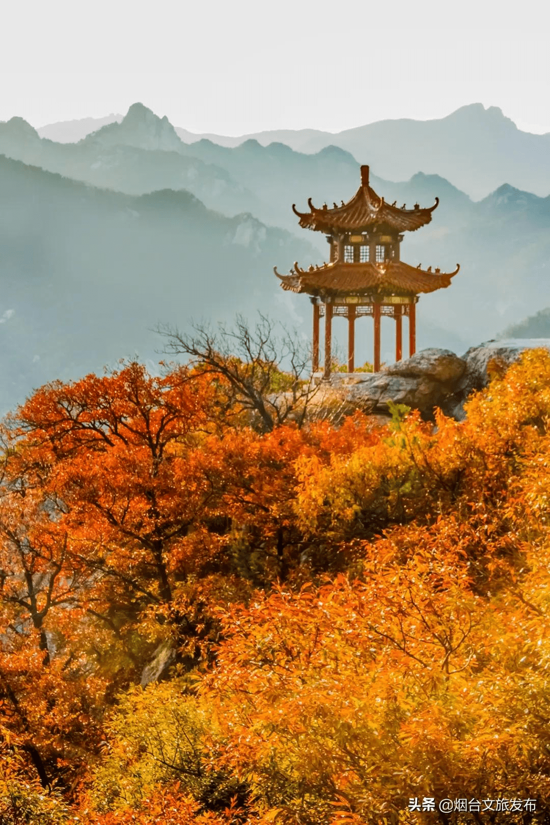 孙茂俊|镜观烟台 | 你看！这就是烟台的多彩秋日