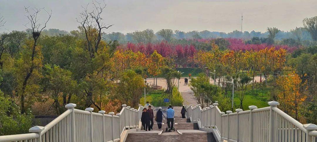 秦皇半島一區,森林逸城,東門連接金海灣森林公園,南門出去為濱海大道