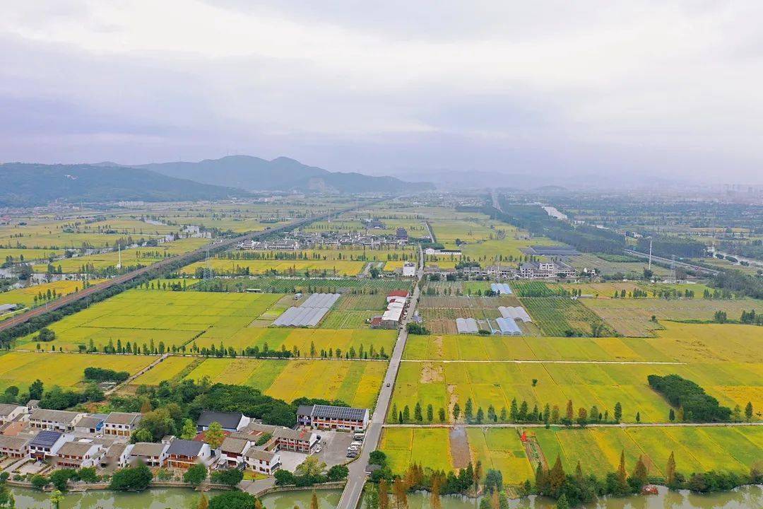 以秋风为笔以乡村为墨看昆阳塘河绘就一幅田园秋色绝美画卷