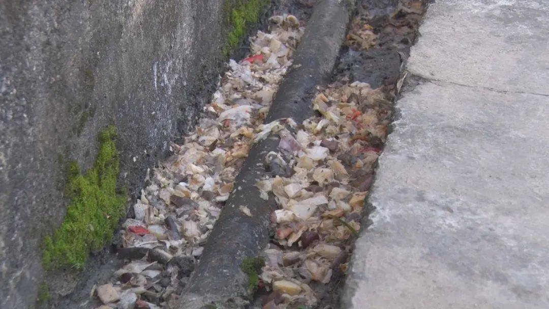 曝光台第四期共创卫生健康城市建设幸福美丽怒江