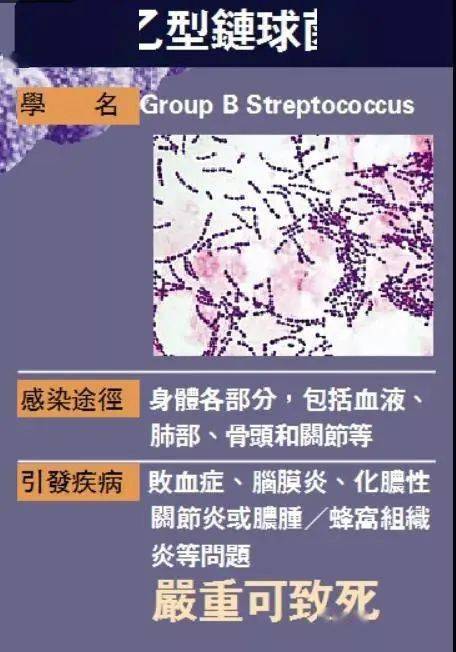 淡水鱼|香港79人感染，7人死亡！致命病菌暴发，紧急提醒