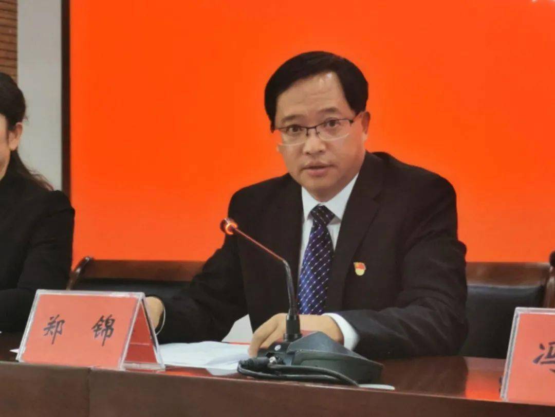 中共富宁县委副书记,县长郑锦就以上问题作了解答