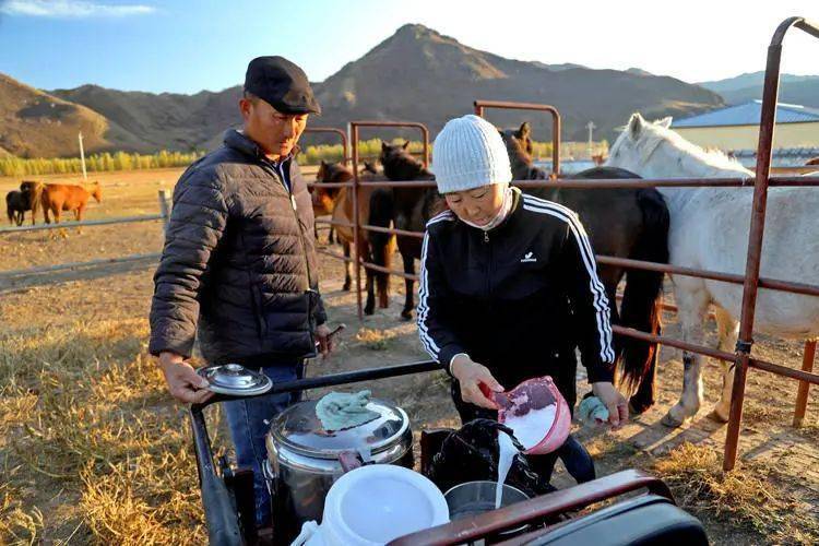 醇香马奶 小康味道——记扎鲁特旗乌兰哈达苏木的"马上"致富路_产业