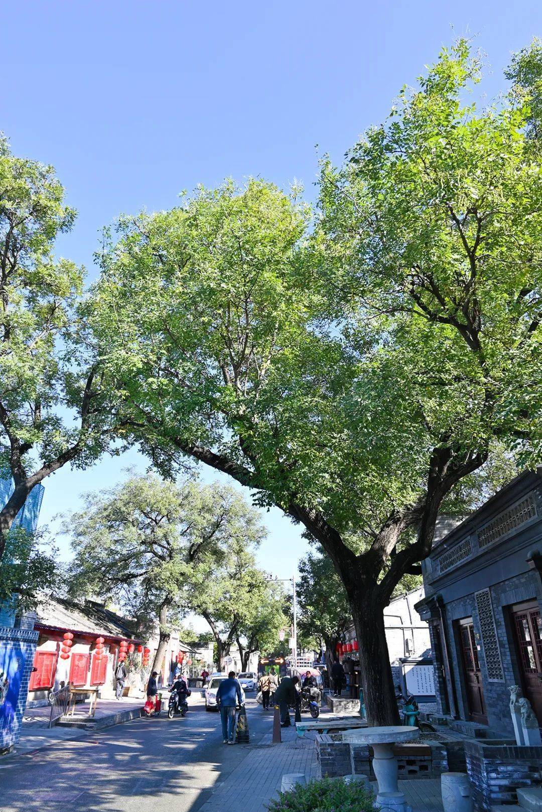模式口大街感受千年古道别有一番风景