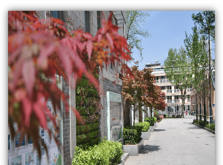 南京市长江路小学一直坚持立德树人,把培育和践行社会主义核心价值观