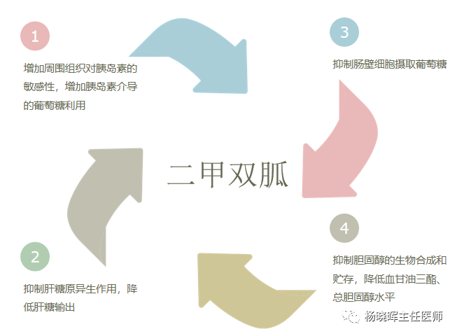 二甲双胍用于减肥 来自搜狐网