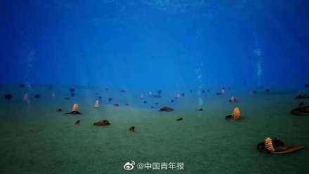 张志飞|地球最早苔藓虫化石在陕南发现 将苔藓动物起源向前推进至少5000万年