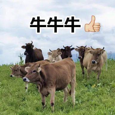 疾病|省内唯一！国家级荣誉！