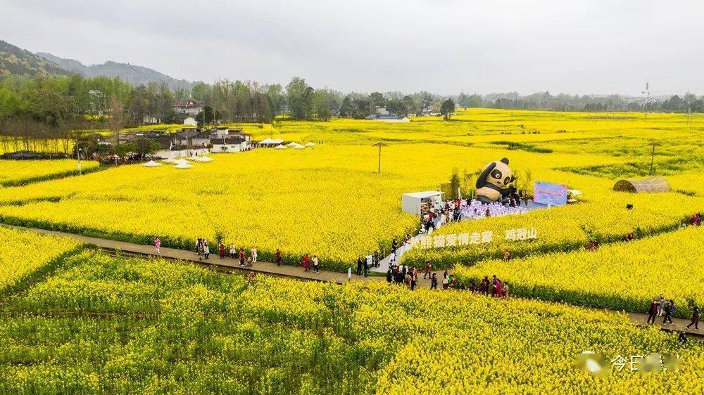 建成幸福裡等7個aaa級林盤景區,天府國際慢城,竹藝村創建為aaaa級景區