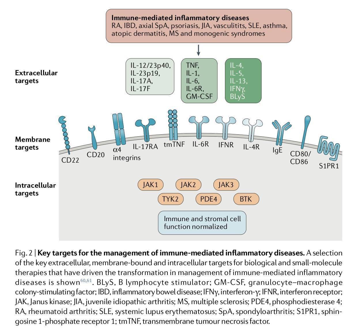 特稿｜红斑狼疮、白癜风等为何难治？国内缺医少药如何破局
