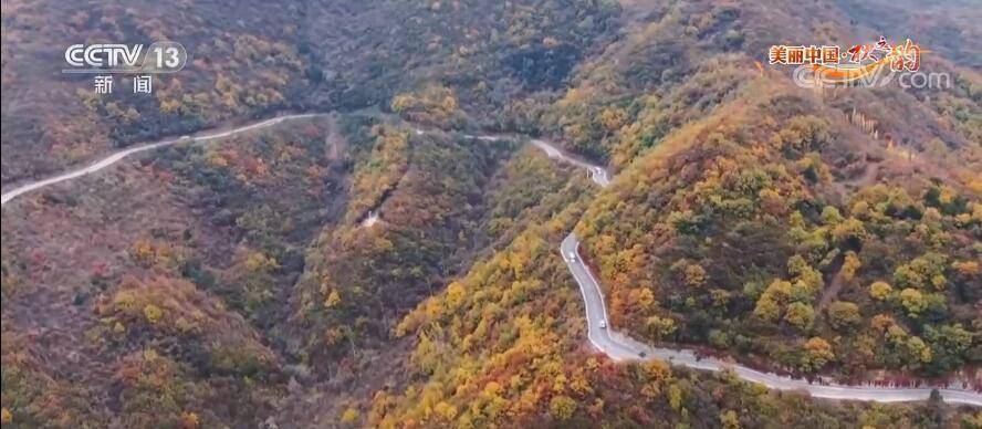 太行|【秋之韵·河南林州】太行大峡谷：清泉潺流 树树秋色