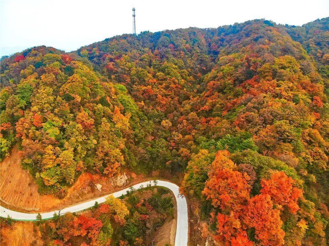 景区|汉中这里秋色美翻天，赏秋不容错过！