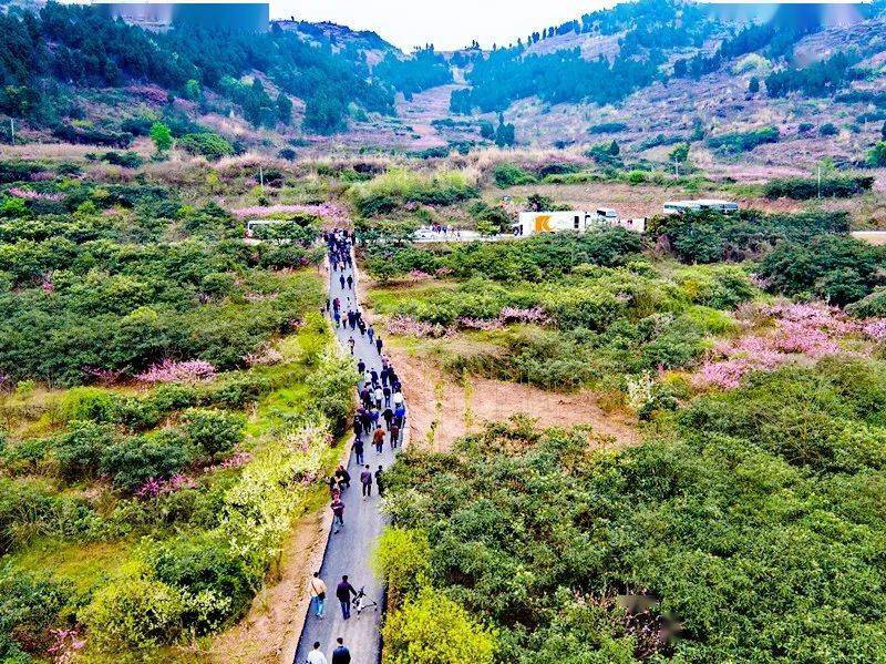 在希望的田野上系列报道七十四4000亩的森林氧吧一一龙泉山欢乐森林