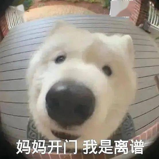 小X書上大36歲的「爹系男友」，給爺惡心到了… 搞笑整蠱 第18张