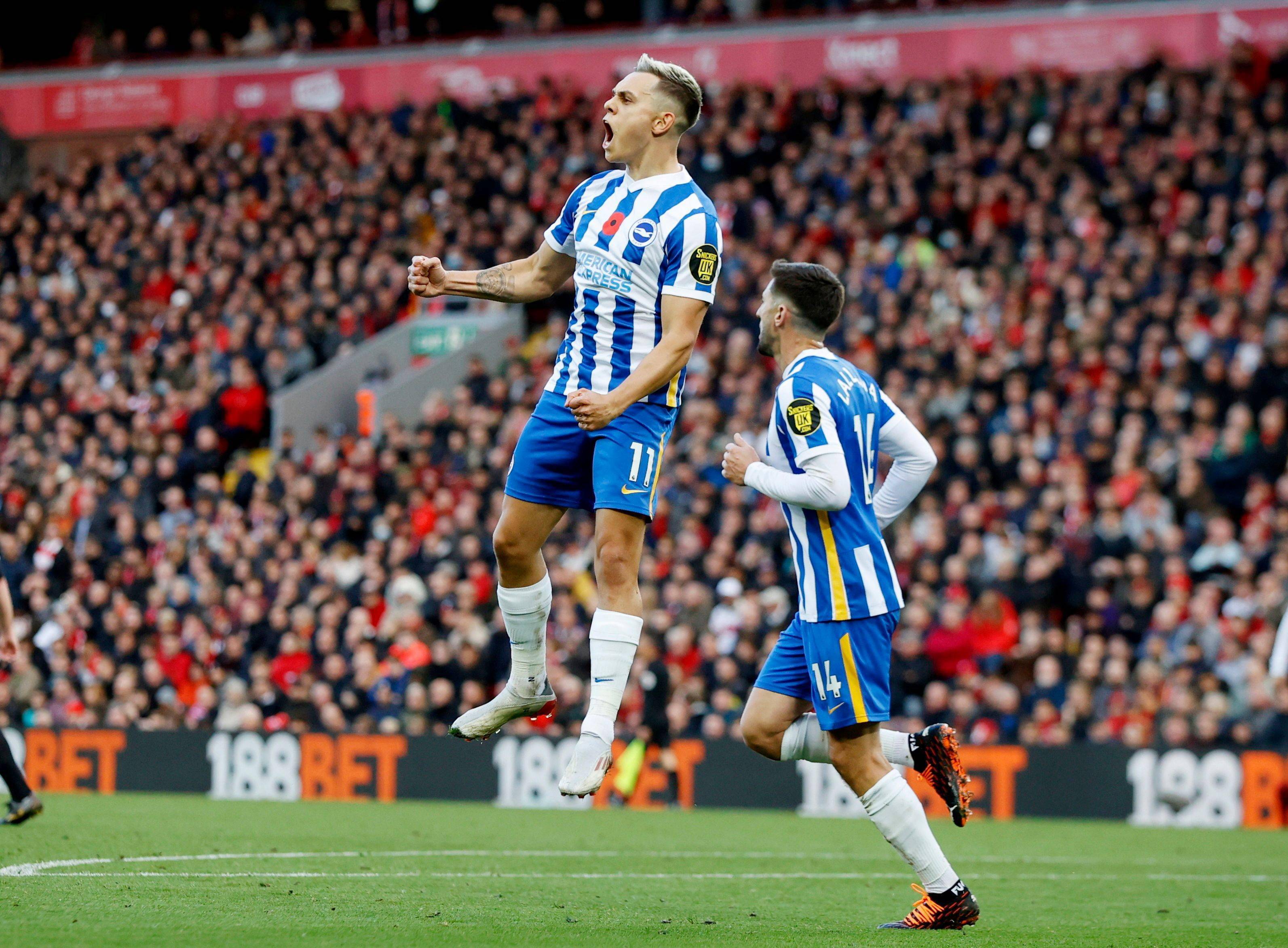 足球英超利物浦平布莱顿