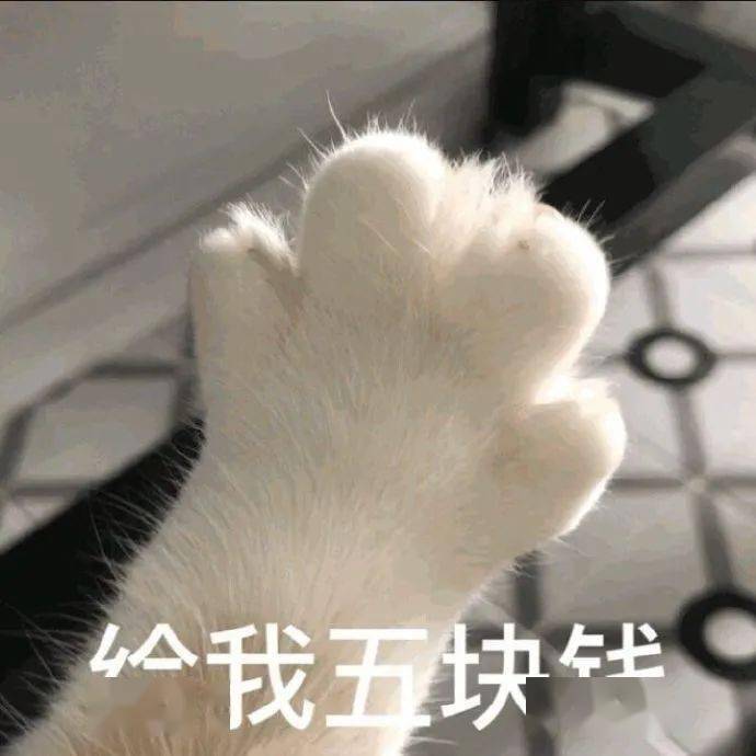 港星耿直起來有多可愛？？這是我能免費能看的嗎！ 搞笑整蠱 第1张