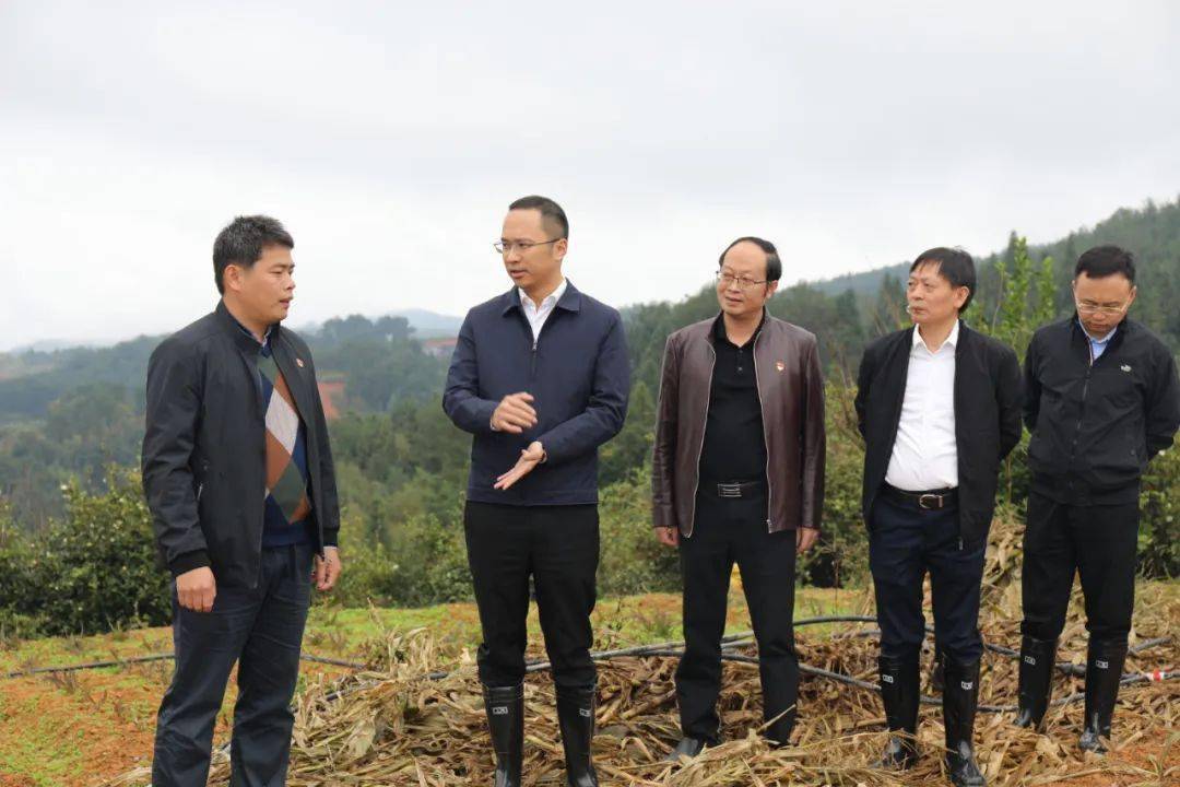 今天,县委书记雷连鸣为乡村振兴"把脉开方"