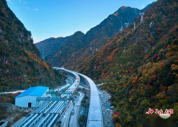 玉带|四川平武：九绵高速宛若一条玉带 点缀五彩斑斓的满山彩林