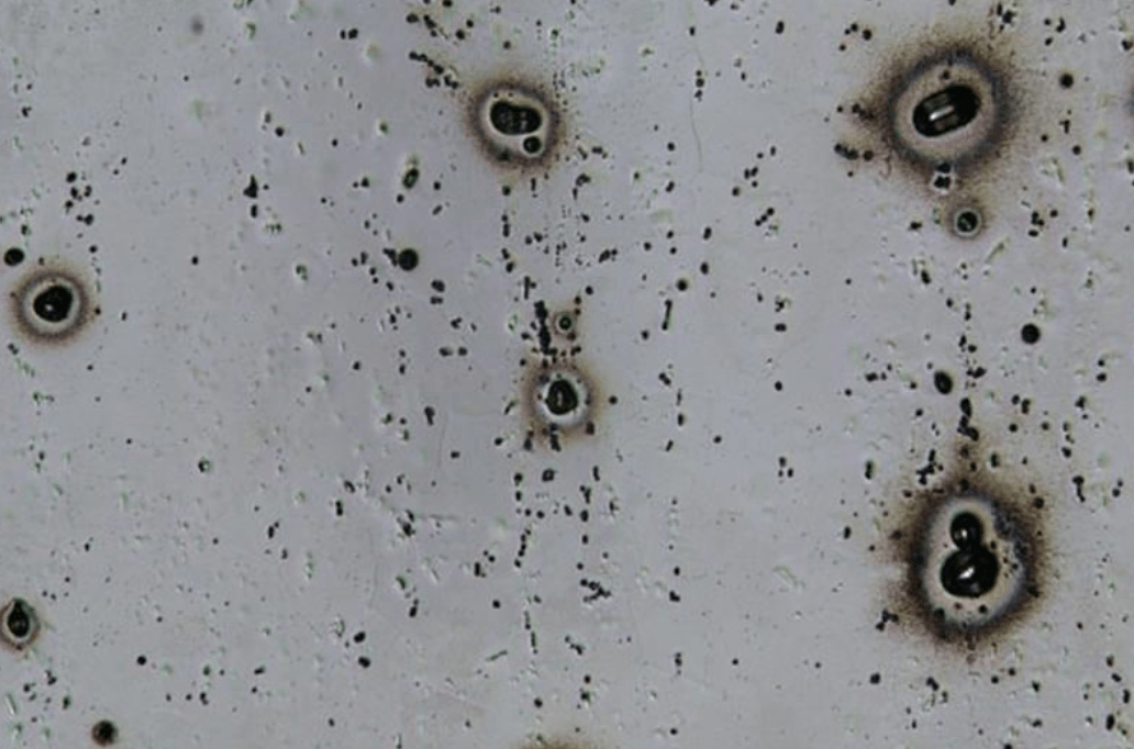 铝的腐蚀及6000系铝合金的晶间腐蚀