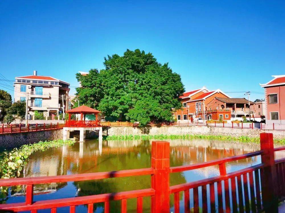 全域生态旅游|秋高气爽好出游,海沧宝藏线路任您挑