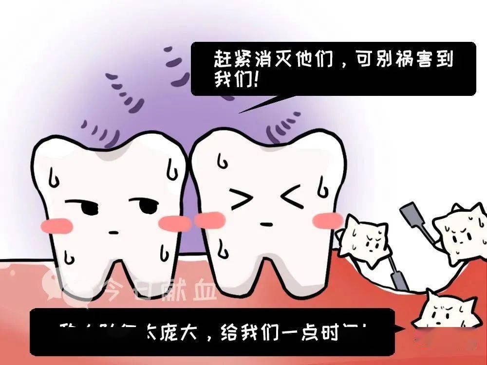 牙疼洗牙拔牙存在牙齒問題的您還能獻血嗎