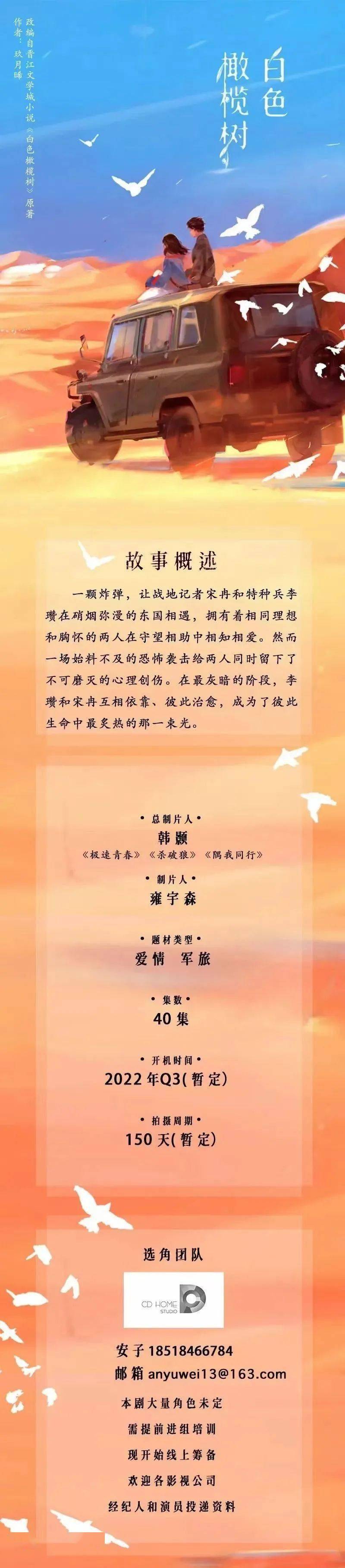 组讯日报剧集白色橄榄树霸婚长大的小孩等