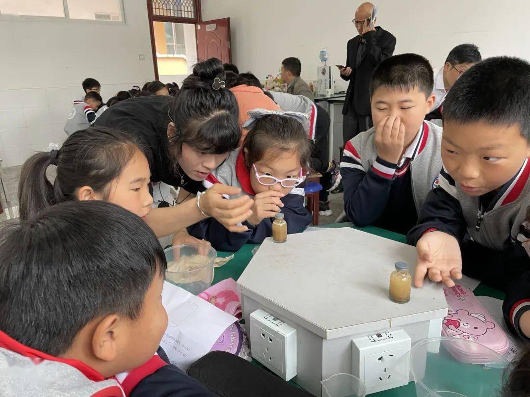 那些教“语文”的“科学”老师