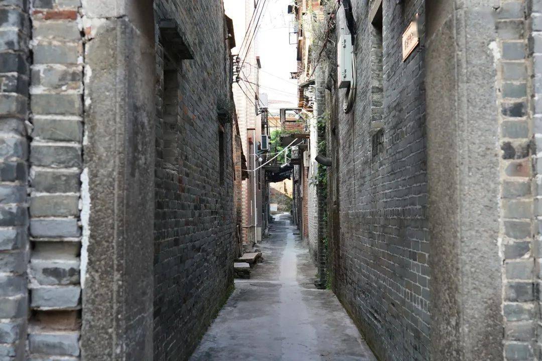 紫洞村"守护神"——800年古榕树见证古村紫洞沧海桑田_古树