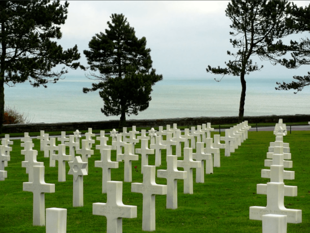 白色的十字架在绿色草坪上完美地对齐,以纪念只有一些战争受害者,十字